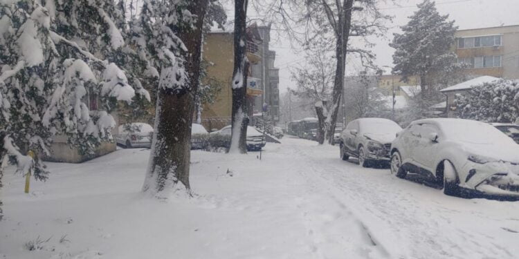 La Suceava, ”Vinerea Verde” primește ajutor de la ”Joia Albă”