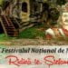 Iris și Bertzi&Friends, la Putna, la cea de-a IV-a ediție a Festivalului Național de Folk „Ridică-te, Ștefane!”