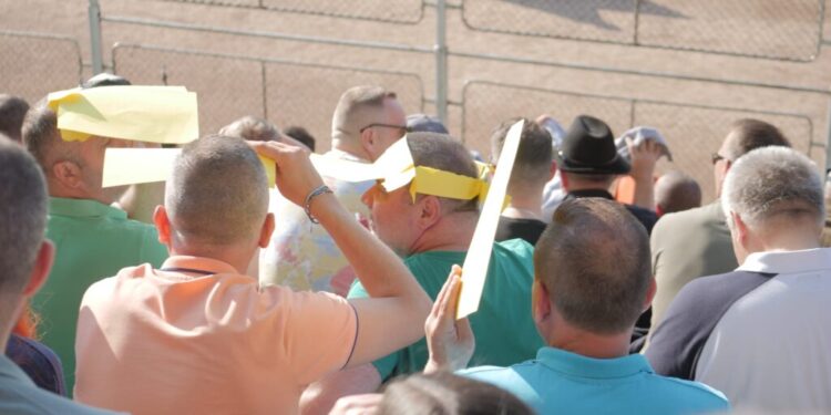 Suceava vie, așa cum de mult nu a mai fost (Foto)