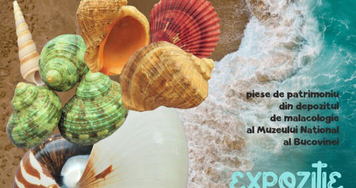 ”Amintiri marine”, expoziție de machete și desene realizate de elevi de la Școala Gimnazială „Ion Irimescu” Fălticeni