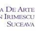 Taxele percepute de Școala de Arte ”Ion Irimescu” Suceava, neschimbate. 750 de lei pe an pentru pian, vioară, orgă, canto, chitară, clarinet, nai, saxofon și acordeon