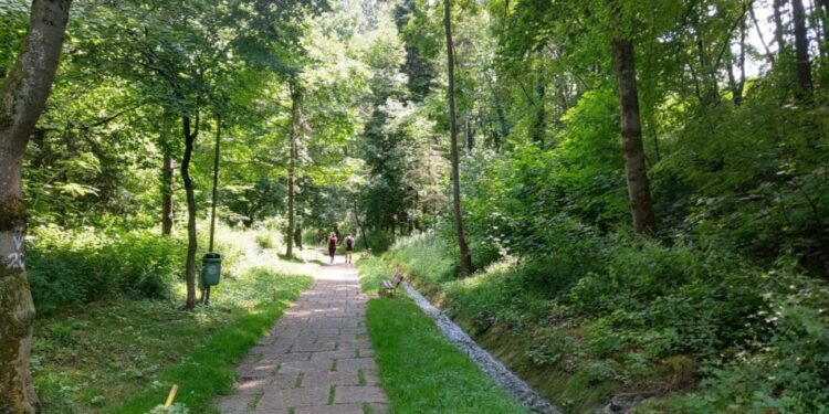 Pînă să plouă cu milioane de euro peste Parcul Șipote, sucevenii s-ar mulțumi, poate, și cu mai puțin