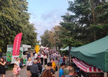 Recordul de audiență al Festivalului de Artă Medievală de la Suceava a fost bătut! În cele trei zile de festival, la Cetatea de Scaun au fost 31.008 spectatori