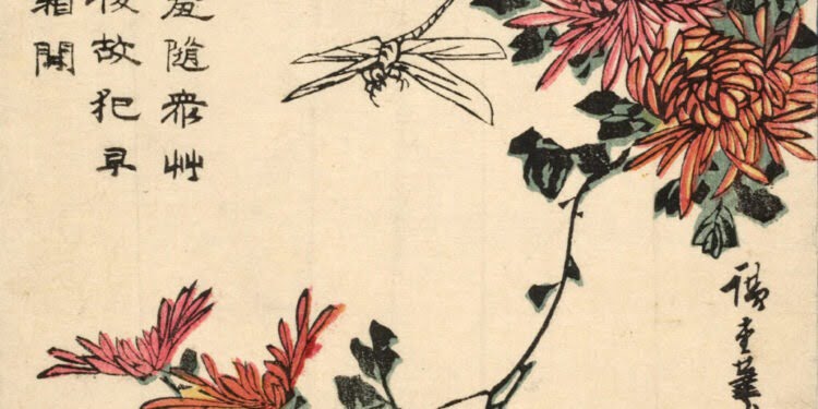 Expoziție de stampe japoneze, la Muzeul de Istorie din Suceava, în a doua parte a lunii noiembrie