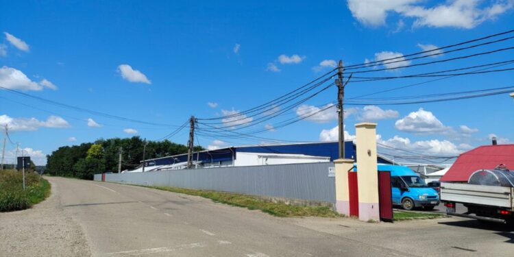 Tudia Lactate, din localitatea suceveană Grămești, nu are minivacanțe