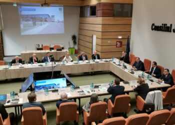 Oportunitățile de investiții în județul Suceava, prezentate într-o întîlnire cu 12 consuli onorifici