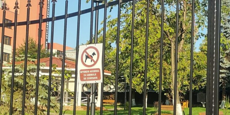 La parcul din Fălticeni, oamenii înăuntru, cîinii afară, cu lacrimi în ochi
