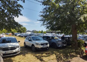 Caii putere din parcarea plină cu noroi de la Cetatea de Scaun a Sucevei