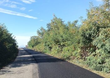 Asfaltări pe drumul județean Dumbrăvița – Mesteceni