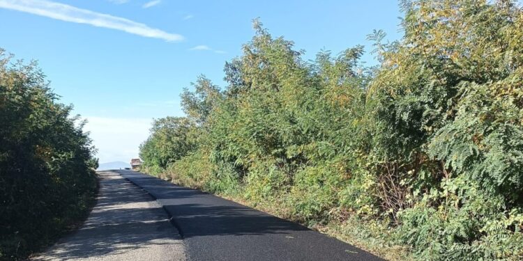 Asfaltări pe drumul județean Dumbrăvița – Mesteceni