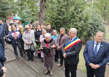 La cîteva zile după ce și-a văzut visul împlinit, acela de a vedea bustul tatălui său, pictorul Dimitrie Loghin, dezvelit în Parcul Central, profesoara de română Viorelia Braicu a murit