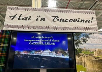 Oameni obișnuiți sau specialiști în domeniul turismului, interesați să ajungă la Vatra Dornei pentru a vizita Complexul Muzeal ”Cazinoul băilor”