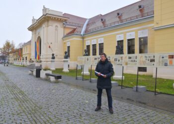 Expoziția foto-documentară ”Ciprian Porumbescu” realizată de Muzeul Național al Bucovinei are un impact foarte mare, pentru că a fost amenajată în spații deschise din Suceava, Alba Iulia, Timișoara, Sibiu, Brașov, Craiova și București