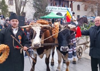 Niculai Barbă, despre Programul ”Crăciun în Bucovina”: Pe parcursul a șapte săptămîni, zeci de grupuri, mii de participanți, au prezentat altor mii și mii de oameni de peste tot, din întreaga lume, tradițiile și obiceiurile noastre de iarnă