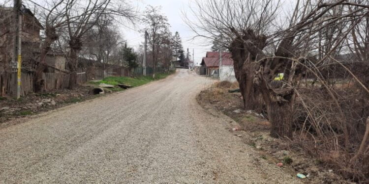 Datorită străzilor de pămînt din Suceava învățăm istorie