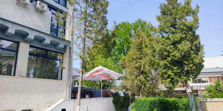 ”My Continental” nu este ”My Arcașu`”. ”Arcașu`” trebuie readus la viață