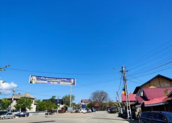 Bannerele PNL și PSD au cîștigat alegerile