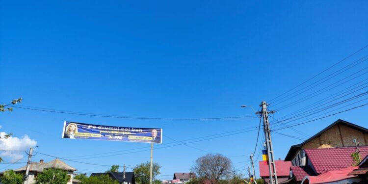 Bannerele PNL și PSD au cîștigat alegerile