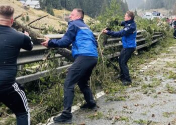 Jandarmii montani dorneni au contribuit la deblocarea Pasului Mestecăniș, unde căzuseră copaci rupți de vîntul puternic