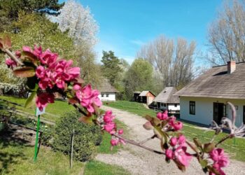 Program special de vizitare la Cetatea de Scaun, la Muzeul Satului Bucovinean și la Muzeul de istorie, în perioada 1-6 mai