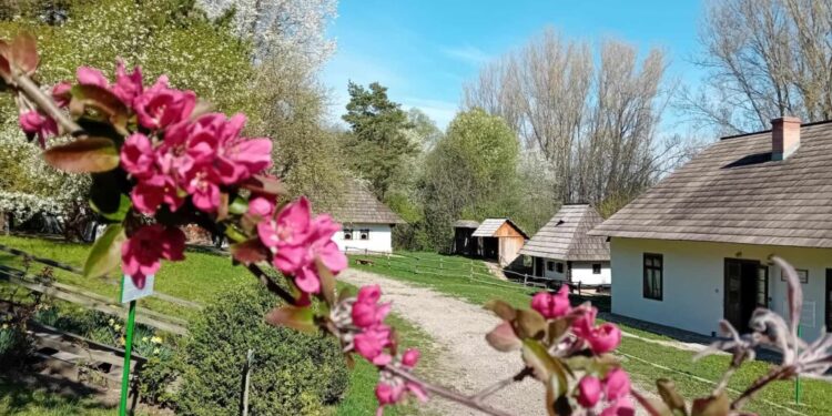 Program special de vizitare la Cetatea de Scaun, la Muzeul Satului Bucovinean și la Muzeul de istorie, în perioada 1-6 mai