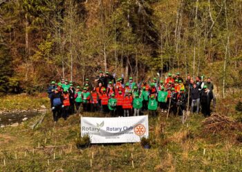 Rotary Club Suceava Cetate, Ocolul Silvic Putna și elevi de la Școala Osoi au plantat 750 de puieți de molid
