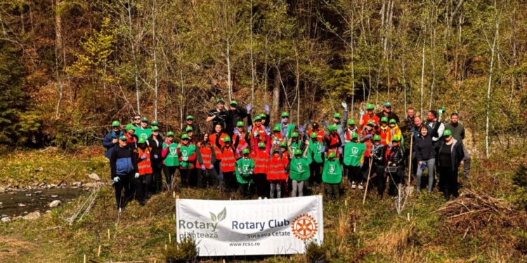 Rotary Club Suceava Cetate, Ocolul Silvic Putna și elevi de la Școala Osoi au plantat 750 de puieți de molid