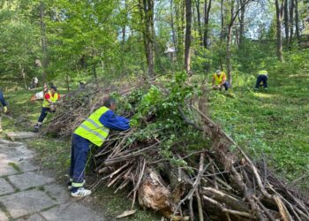 100 de persoane, la o acțiune de igienizare a Parcului Șipote. Viceprimarul Lucian Harșovschi: ”Revin cu rugămintea către suceveni de a păstra curățenia făcută” (Foto)