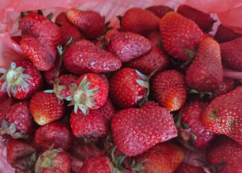 Decanul Facultății de Inginerie Alimentară Suceava, Mircea Oroian: Am cumpărat niște căpșuni despre care se spunea că sînt de la Satu Mare, dar gustul era departe. O analiză pentru a vedea sursa de proveniență ar fi prea scumpă