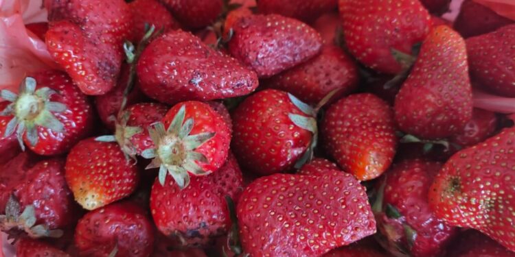 Decanul Facultății de Inginerie Alimentară Suceava, Mircea Oroian: Am cumpărat niște căpșuni despre care se spunea că sînt de la Satu Mare, dar gustul era departe. O analiză pentru a vedea sursa de proveniență ar fi prea scumpă