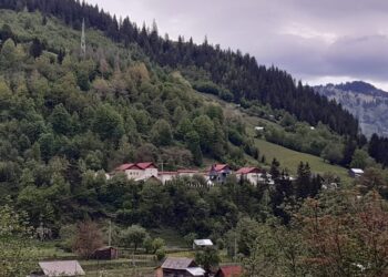 ”Carmen Sylva” de la Broșteni ”este cotată ca fiind o unitate medico-socială foarte bună, unde condițiile sînt foarte bune”. ”Este imperios necesară construirea unui corp de spital nou la Vatra Dornei, pentru că Spitalul Vatra Dornei deservește întreaga zonă de munte, inclusiv Broșteniul, care este situat la zeci de kilometri”