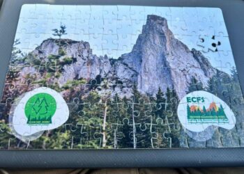 În premieră pentru România, elevi de la cele mai bune școli silvice din Europa se vor întrece la Cîmpulung Moldovenesc, în cadrul campionatului organizat de Colegiul Silvic ”Bucovina” (Foto)