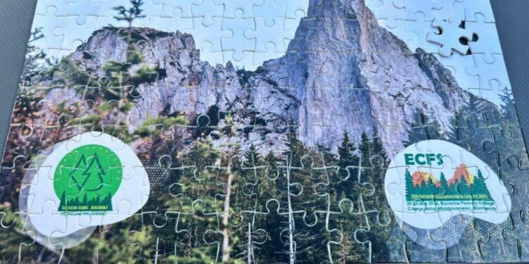 În premieră pentru România, elevi de la cele mai bune școli silvice din Europa se vor întrece la Cîmpulung Moldovenesc, în cadrul campionatului organizat de Colegiul Silvic ”Bucovina” (Foto)