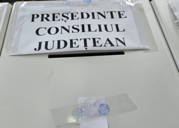Majoritatea alegătorilor care au votat au vîrsta cuprinsă între 45 și 64 de ani. Pînă la ora 15.00, 30,5% din populația județului Suceava a votat