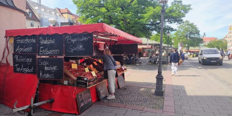 Producătorii, înghesuiți în curtea Direcției Agricole, centrul Sucevei, gol