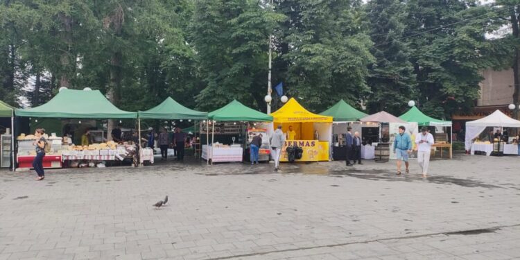 Șvaițerul produs în zona Dornelor, scump, pentru că necesită un proces complex de fabricație
