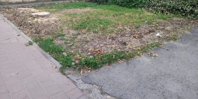 Cei doi copaci de peste drum de Școala 3 din Suceava au fost tăiați de proprietarul terenului, nu de Primărie. Deocamdată nu există nici o solicitare pentru realizarea unei construcții acolo