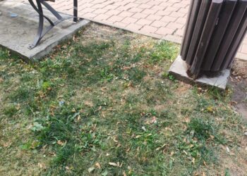 Coșurile de gunoi din municipiul Suceava, inutile