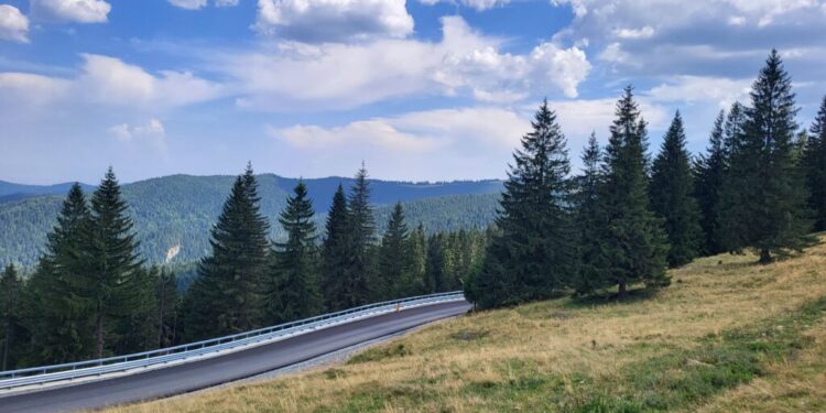 Drumul Mălini – Borca, care trece printr-o zonă extrem de pitorească, realizat în proporție de 82%. Drumul va fi gata la finele acestui an