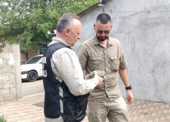 Dosar penal pentru un sucevean care dorea să vîndă o broască țestoasă protejată de lege. Broasca din specia Testudo graeca a fost predată unei asociații de profil