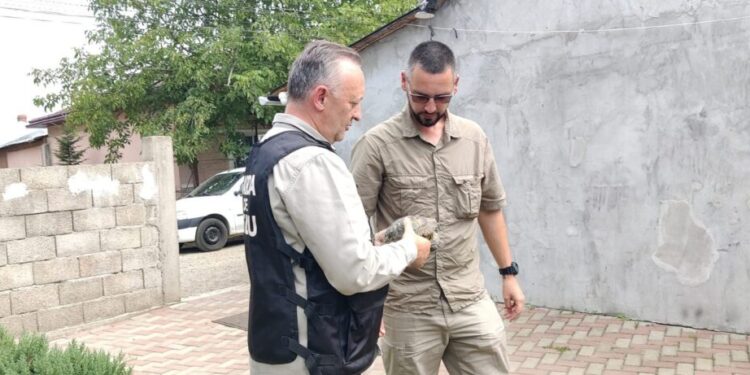 Dosar penal pentru un sucevean care dorea să vîndă o broască țestoasă protejată de lege. Broasca din specia Testudo graeca a fost predată unei asociații de profil