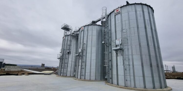 La Verești s-a deschis una dintre cele mai mari ferme de porci din țară. Purceii sînt aduși din Germania. Pentru început, ferma va avea o capacitate de maxim 120.000 de capete