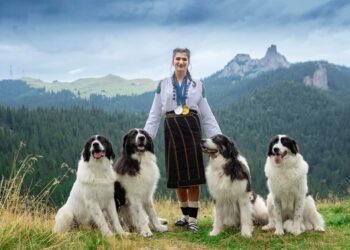 Campioana olimpică la canotaj Ancuța Bodnar, ședință foto cu medaliile la gît și alături de patru cîini ciobănești, avînd pe fundal Pietrele Doamnei