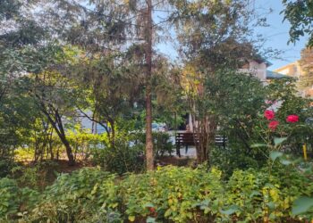 Băncile de care Suceava avea nevoie