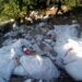La Salcea, degeaba există un serviciu care strînge deșeurile de la construcții de la porțile oamenilor, pentru că acestea se aruncă tot aiurea. Garda de Mediu a dat o amendă de 12.000 de lei