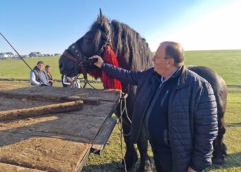 Gheorghe Flutur are un cal pe care-l cheamă Napoleon: Știu ce înseamnă calul. Înseamnă frumusețe, forță, sănătate, credință (Foto)