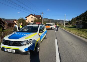 40 de polițiști, razie în zona de munte a județului Suceava. Lemn confiscat și permise de conducere reținute