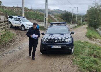 Bărbat din Vama, băgat în spital de un urs. Jandarmii au patrulat în zonă folosind semnalele acustice și luminoase pentru a se asigura că ursul a plecat