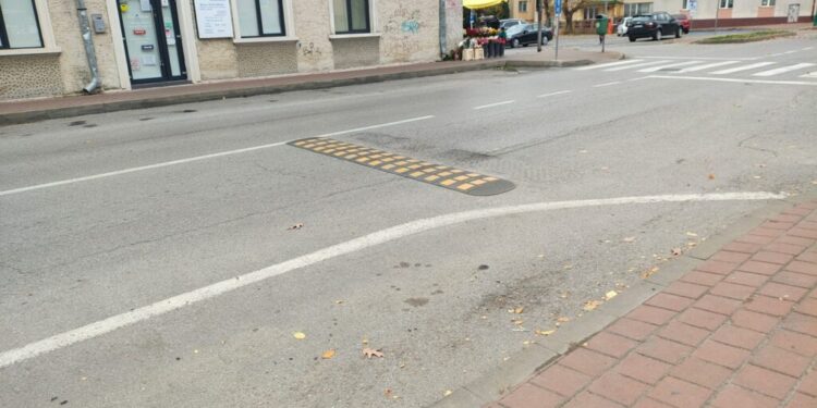 ”Cocoașele” din Suceava sînt degeaba