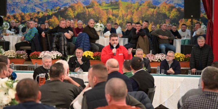 PSD, la Mălini: Dezvoltarea turismului în această regiune este văzută ca un factor-cheie pentru crearea de locuri de muncă